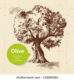 Vintage olive background. Hand drawn illustration