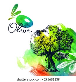 Vintage olive background with hand drawn sketch illustration and acrylic paint brushstroke. Design of package. Vector illustration