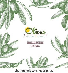 Vintage olive branch vector sketch seamless pattern in hand drawn style with title, olives, leaves.