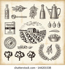 Vintage olive harvest set. Fully editable EPS10 vector.