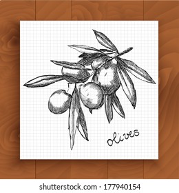 Vintage olive tree sketch. Vector hand drawn illustration on the wood background.