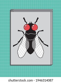 Vintage operation system desktop display and frame window with Fly with red eyes in cartoon style