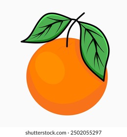 vintage orange fruit, on white background. Healthy food vector illustration