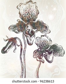 Vintage orchid background. Vector. EPS 10. Not autotrace!