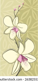 vintage orchids