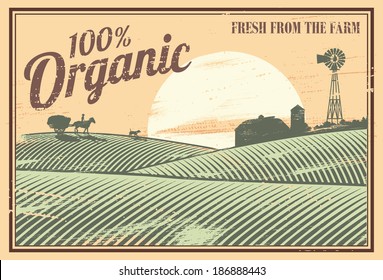 Vintage Organic Farm