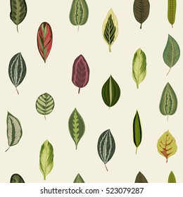 Vintage organic leaves. Exotic tropical print. Vector seamless pattern.