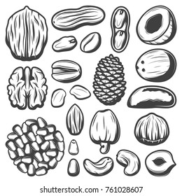 Vintage organic nuts collection with coconut pistachio cashew pecan almond peanut walnut macadamia brazil pine nuts isolated vector illustration