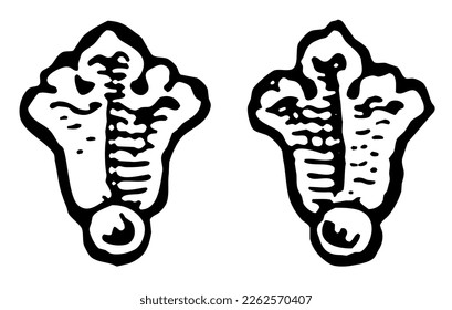 Vintage ornamental baroque design elements Shapes