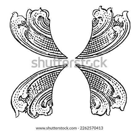 Vintage ornamental baroque design elements Shapes