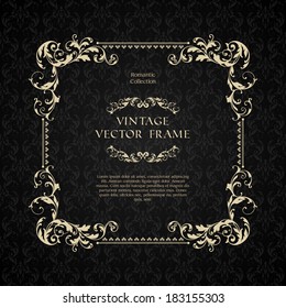 Vintage ornamental template with pattern and decorative frame