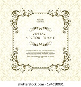 Vintage ornamental template with pattern and decorative frame