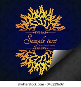 Vintage ornamental template with pattern and decorative frame, curled page design. Vector illustration.