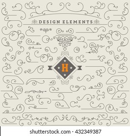 Vintage Ornaments Decorations Design Elements.  Vector stock