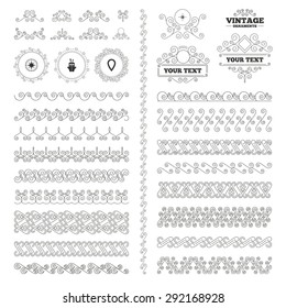 Vintage ornaments. Flourishes calligraphic. Windrose navigation compass icons. Shipping delivery sign. Location map pointer symbol. Invitations elements. Vector
