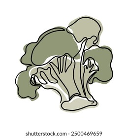 Vintage outline drawing of broccoli in boho style. Botanical single line retro drawing of vegetable. Contour line outline composition isolated on white background.