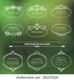 Vintage oval frames and labels on blurred background.