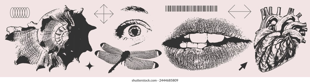 Vintage overlay elements set. Black and white photocopy Halftone eye, mouth, shell, human heart, dragonfly. Trendy grunge vector illustration.