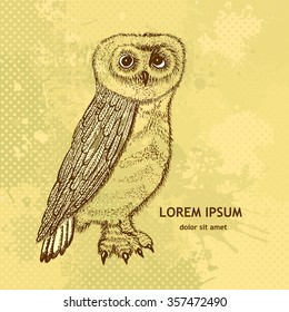 Vintage owl drawing pen. Vector