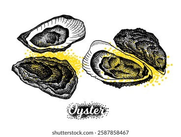 Vintage oyster shell vector illustrations in engraving, dot style. set of elements for menu, flier, t-shirt print, cards.