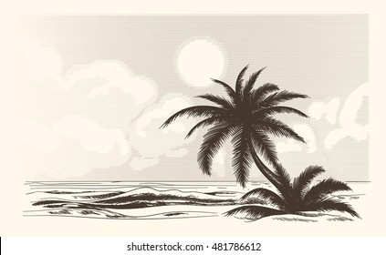 Vintage palm tree sketch. Vector palmtree ocean front in hand drawn style