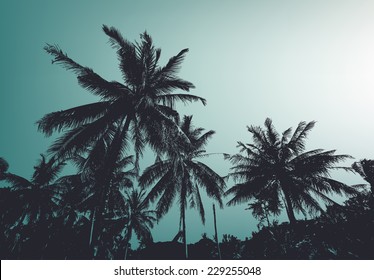 Vintage palm trees. Vector background