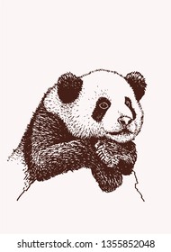 Vintage panda, graphical vector illustration