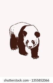 Vintage panda, graphical vector illustration