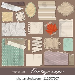 Vintage paper set. Vector illustration with design scrapbooking elements.