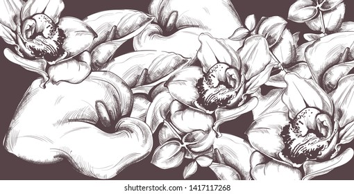 Vintage pattern calla flowers and orchids line art Vector. Old effect backgrounds