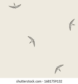 Vintage pattern with little swift birds. Monochrome vector background in doodle asian style.