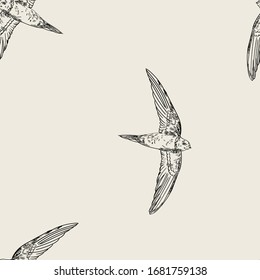 Vintage pattern with little swift birds. Monochrome vector background in doodle asian style.