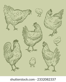vintage patterns of chickens line art