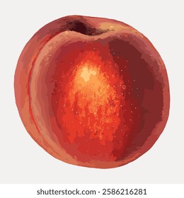 Vintage peach enhanced illustration from U.S. Department of Agriculture Pomological Watercolor Collection. Rare and Special Collections, National Agricultural Library, isolated vector element. 