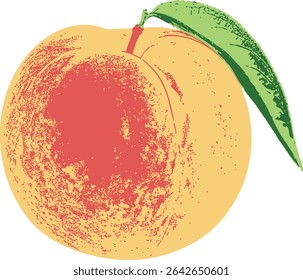 Vintage peach fruit illustration with green leaf, hand-drawn textured vector on white background. Perfect for healthy food packaging, organic labels, botanical prints, or kitchen decor.