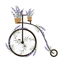 Vintage Penny Farthing Bicycle With Lavender Flowers As Decor. Thank You Card. Vector Illustration In Flat Style