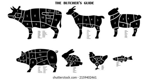 Vintage pet cutting pattern, great design for any purpose. Slicing chart with numbers. stock image.