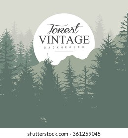 Vintage Pine Forest hand-drawn Background. Vector Illustration 