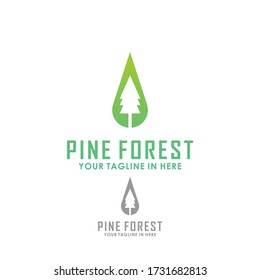 vintage pine forest landscape logo template design vector, adventure brand identity logo template