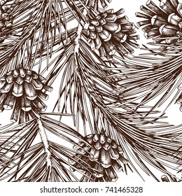 Vintage Pine Tree illustration. Hand drawn conifer sketch with cone on white background. Vector conifer plant. Seamless pattern