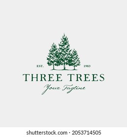 Vintage pine tree logo inspiration