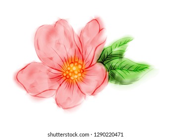 vintage pink flower