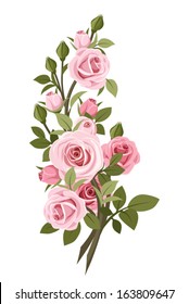 Vintage pink roses branch. Vector illustration.