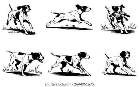 vintage ponteiro cão vetor ilustração, conjunto de pato caça ponteiro cão arte gráfica