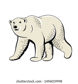 vintage polar bear, emblems and labels, for mascot or logo design