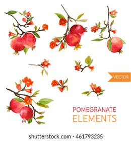 Vintage Pomegranates, Flowers and Leaves. Watercolor Style Fruits. Vector