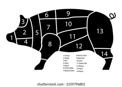 Vintage pork cuts diagram, great design for any purposes. Slicing chart with numbers. Vector illustration. stock image.