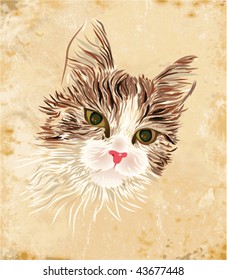 vintage portrait of the cat