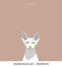 Vintage portrait illustration of one white cat of cornish rex breed with yellow eyes on light brown background with text above