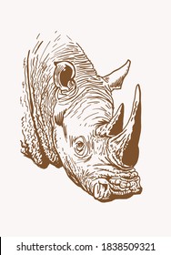 Vintage portrait of rhino , sepia background, vector illustration